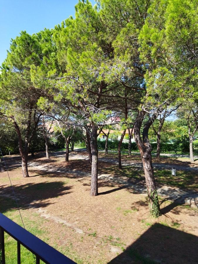 Appartamento Doppi Bagni Sei Posti Letto Viverone Eksteriør billede